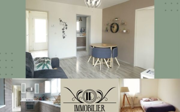 Appartement en centre-ville - BRIARE 45250 loué