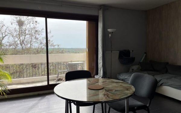 Appartement T2 vue sur la Loire - GIEN 45500 à vendre