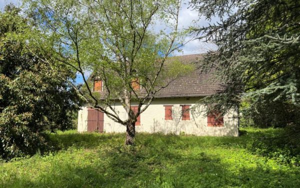 Maison avec joli terrain arboré de 7800m² - SAINT-GONDON 45500 à vendre