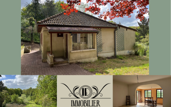 Maison au calme avec terrain - SAINT-BRISSON-SUR-LOIRE 45500 à vendre