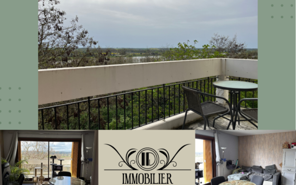Appartement T2 vue sur la Loire - GIEN 45500 à vendre
