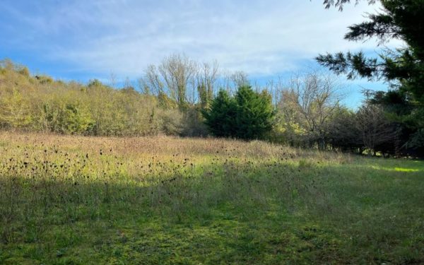 Maison avec grand terrain BRIARE 45250 à vendre