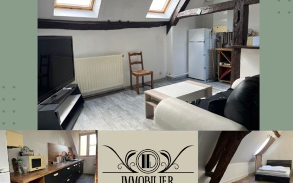 Appartement en centre-ville – BRIARE 45250 à vendre