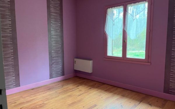 Maison avec étangs sur propriété de plus de 2 hectares - SAINT-GONDON 45500 à vendre