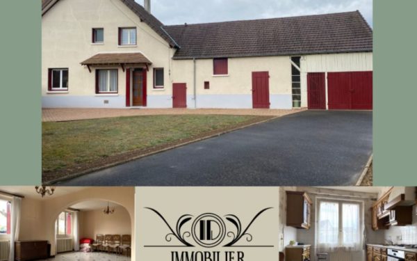 Maison de ville - CHATILLON-SUR-LOIRE 45630 à vendre