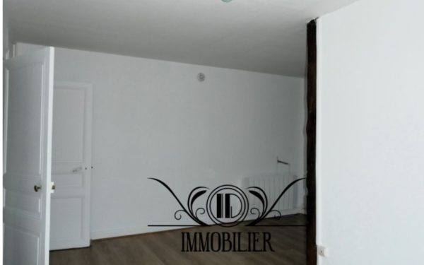 Appartement type F2 - OUZOUER-SUR-TRÉZÉE 45250 à louer