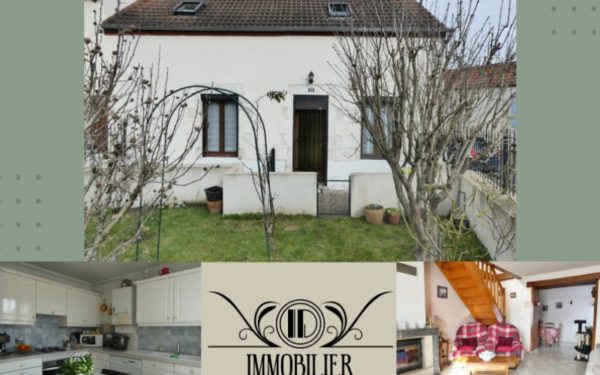 Maison centre-ville avec jardin - BRIARE 45250 à vendre