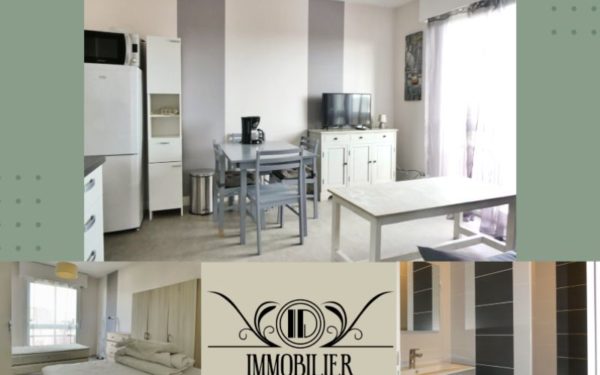 Appartement T2 meublé - 2è étage avec ascenseur Gien 45500 à louer