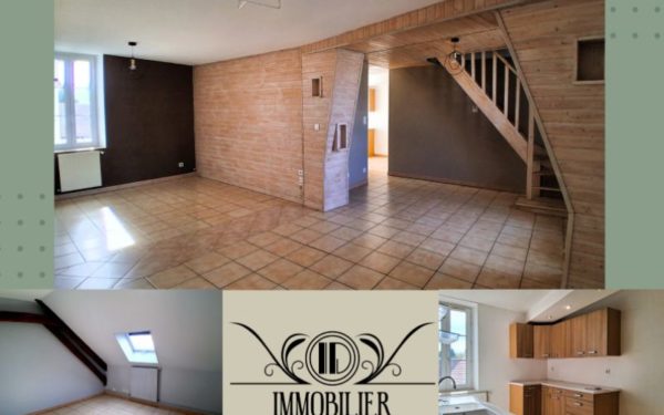 Appartement en duplex - Non meublé - Ouzouer-sur-Loire 45570 à louer