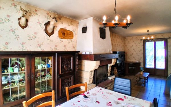 Maison avec terrasse Briare 45250 à vendre