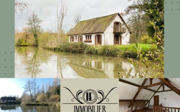 Maison avec étangs sur propriété de plus de 2 hectares - SAINT-GONDON 45500 à vendre