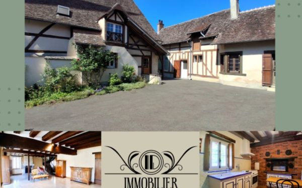 Ensemble de 2 maisons de bourg à vendre PIERREFITTE ES BOIS 45360
