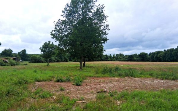 Grange et dépendances à transformer sur propriété COULLON 45720 à vendre