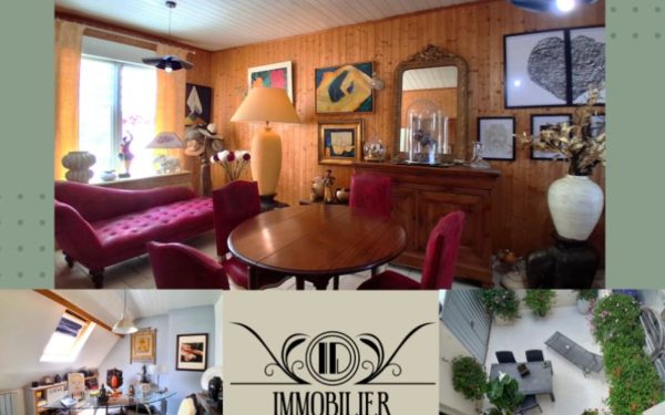 Maison d'artiste - Hypercentre de Gien 45500 à vendre