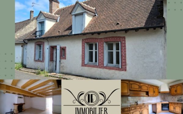 Maison de village avec jardin à vendre LA BUSSIERE 45230