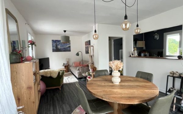 Maison sur sous-sol avec jardin COULLONS 45720 à vendre