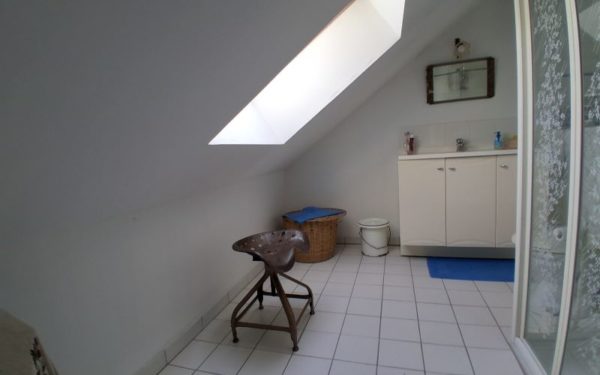Longère avec dépendances à vendre CHATILLON SUR LOIRE 45360