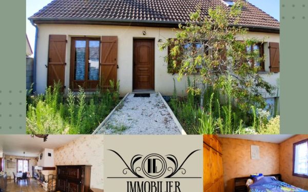 Maison avec terrasse Briare 45250 à vendre