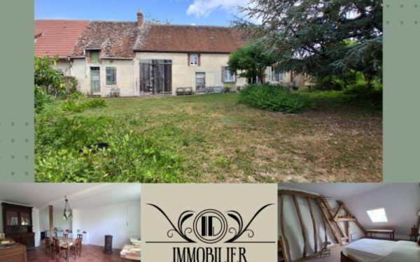 Longère avec dépendances à vendre CHATILLON SUR LOIRE 45360
